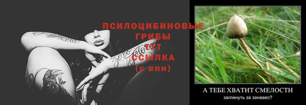 молекула духа Белокуриха